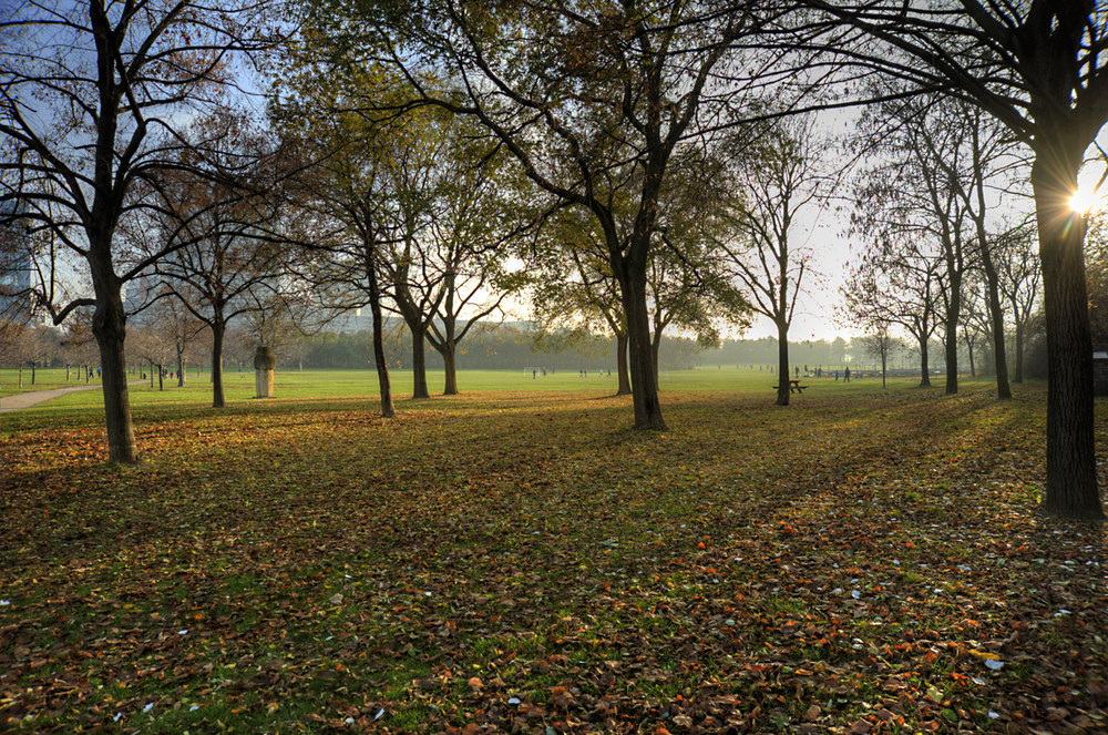 novembersonnenschein