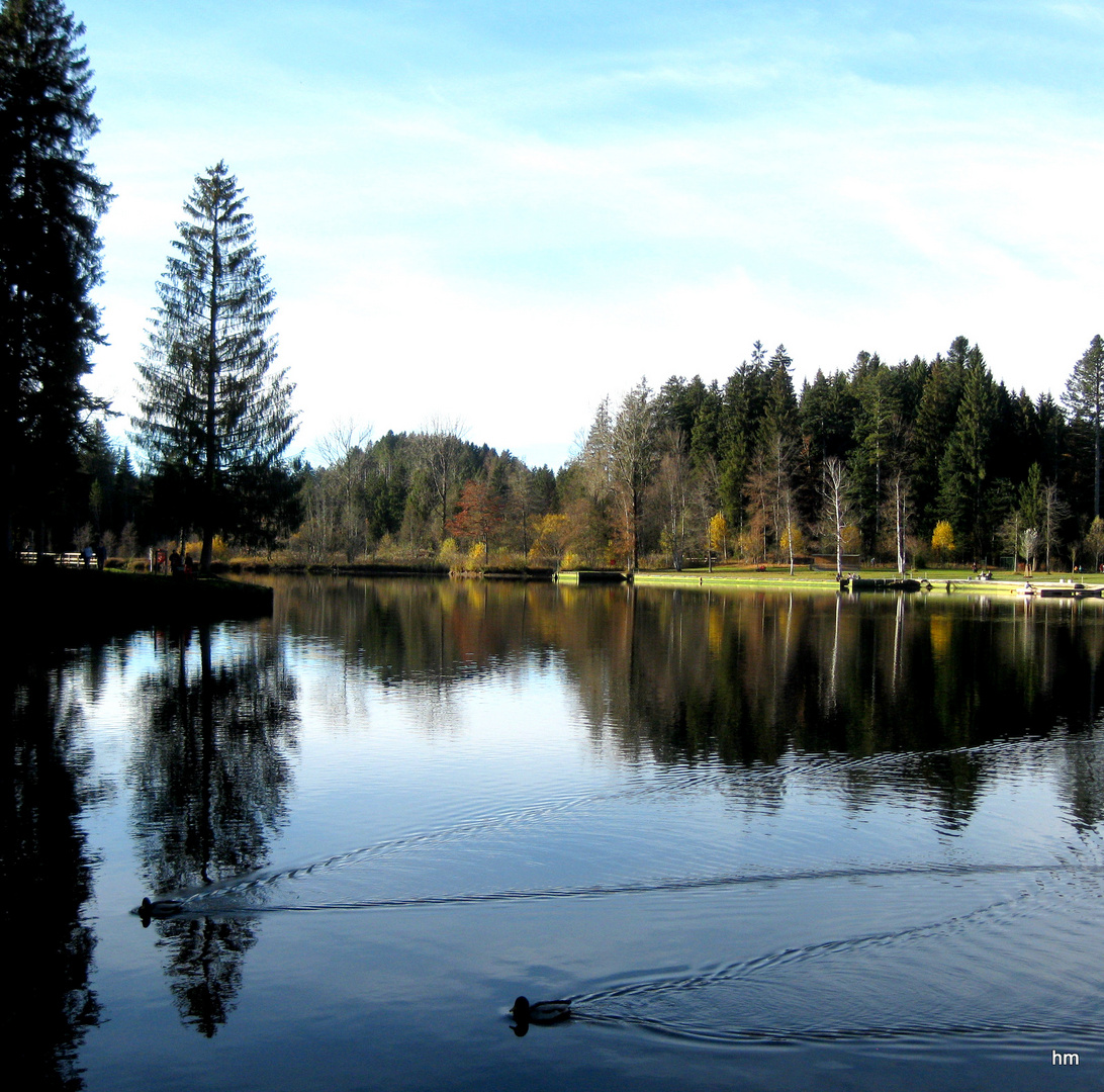 Novembersonntag am Waldsee Lindenberg/ Allgäu