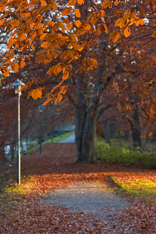 novemberSONNtag II