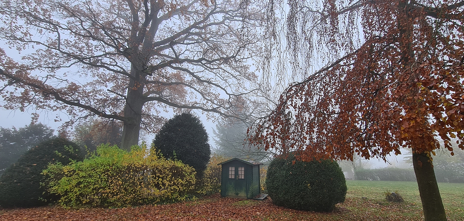 Novemberspaziergang