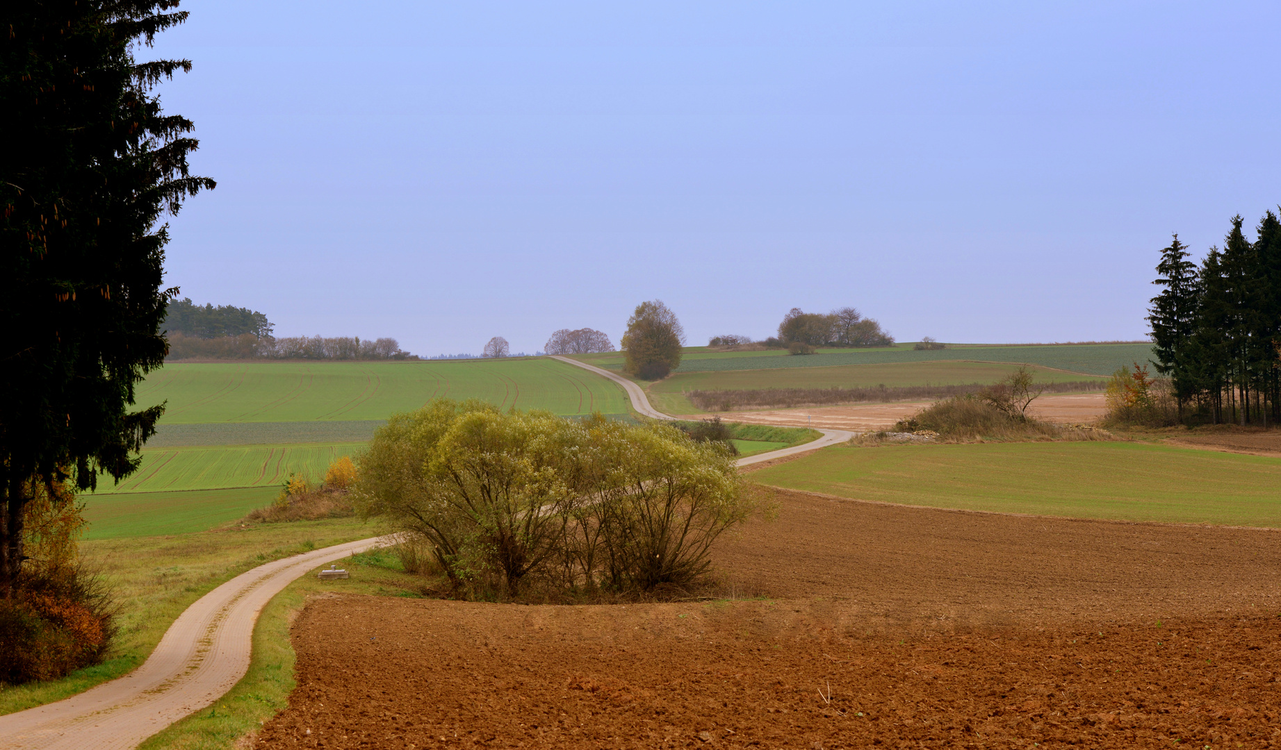 Novemberspaziergang