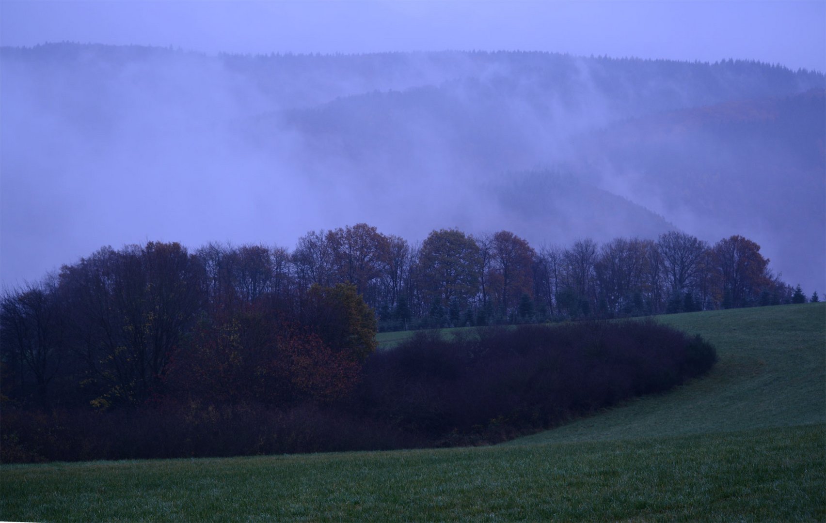 Novemberspaziergang.  