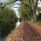 Novemberspaziergang am Ludwigskanal