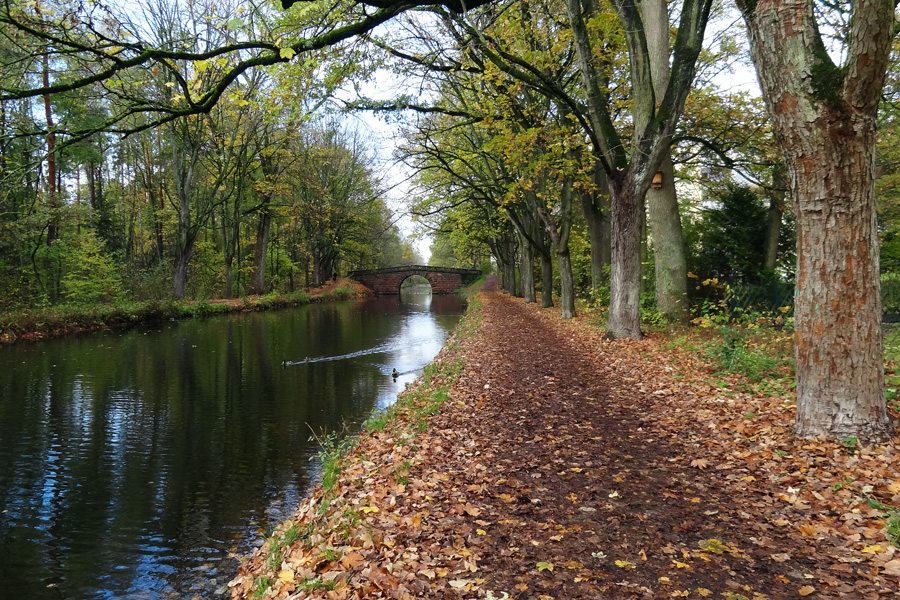 Novemberspaziergang am Ludwigskanal