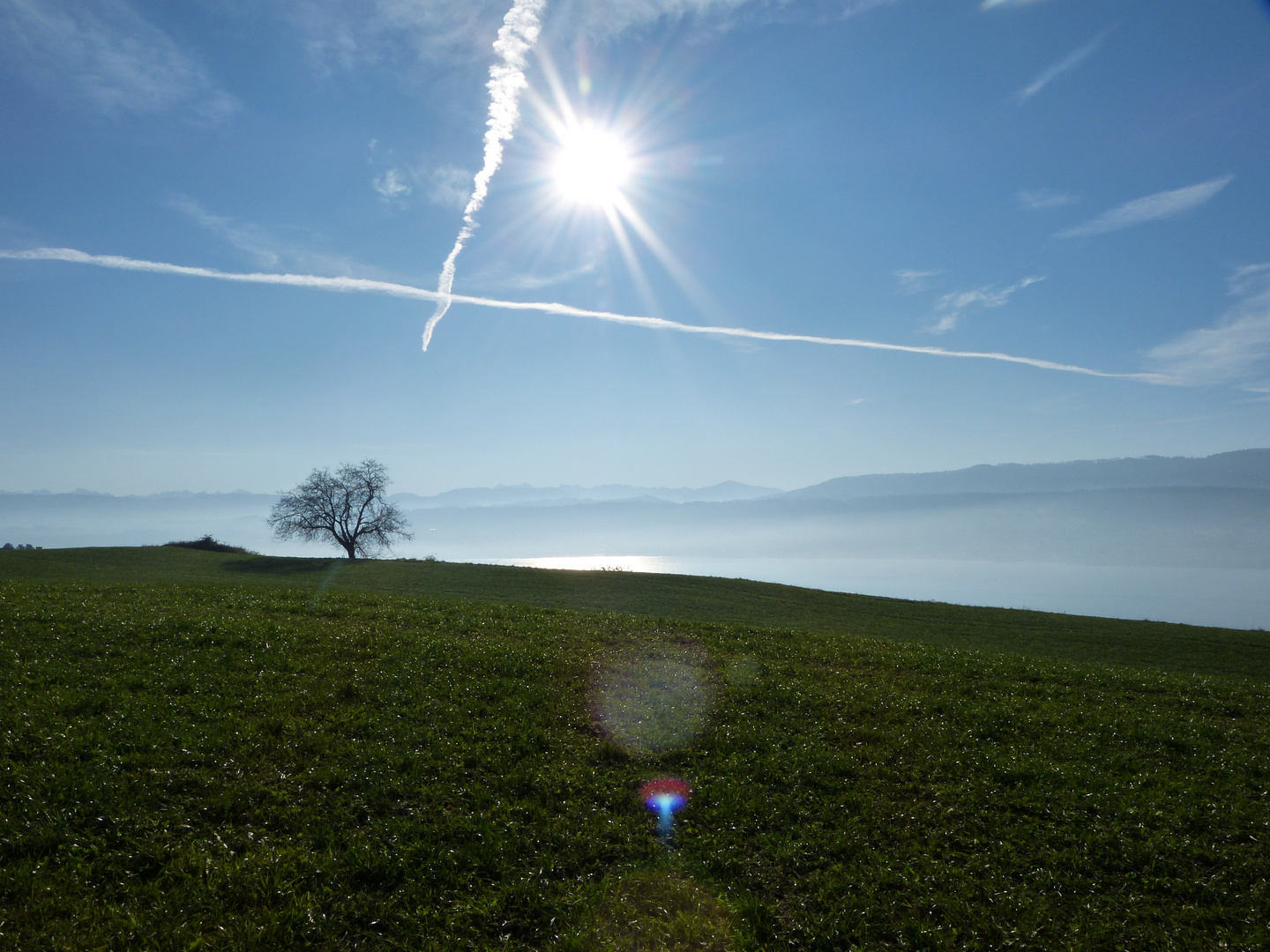 Novemberspaziergang....