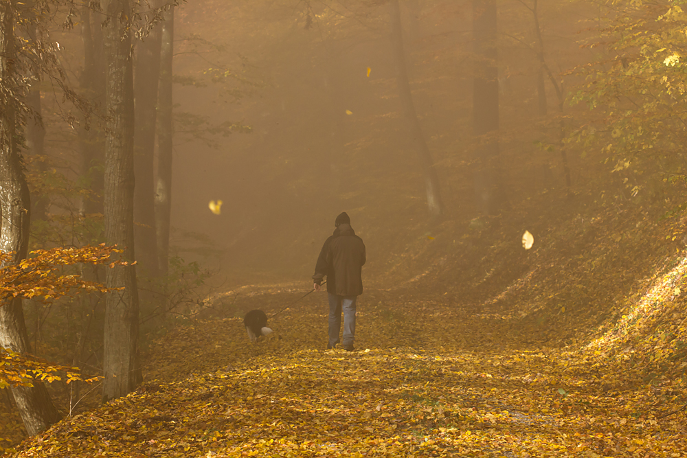 Novemberspaziergang