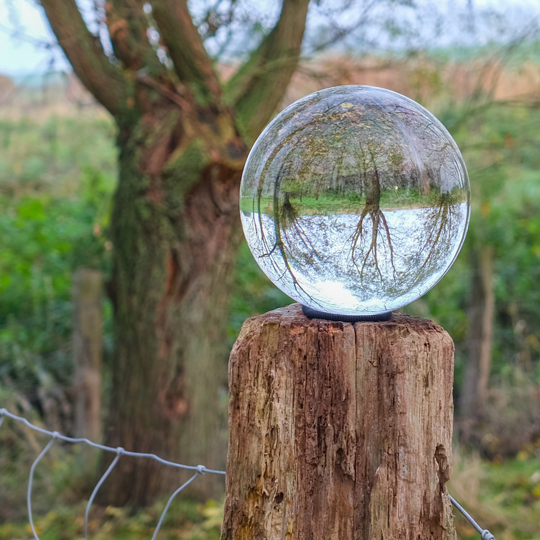 Novemberspaziergang mit der Glaskugel