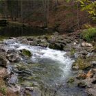 Novemberspaziergang zum Toplitzsee