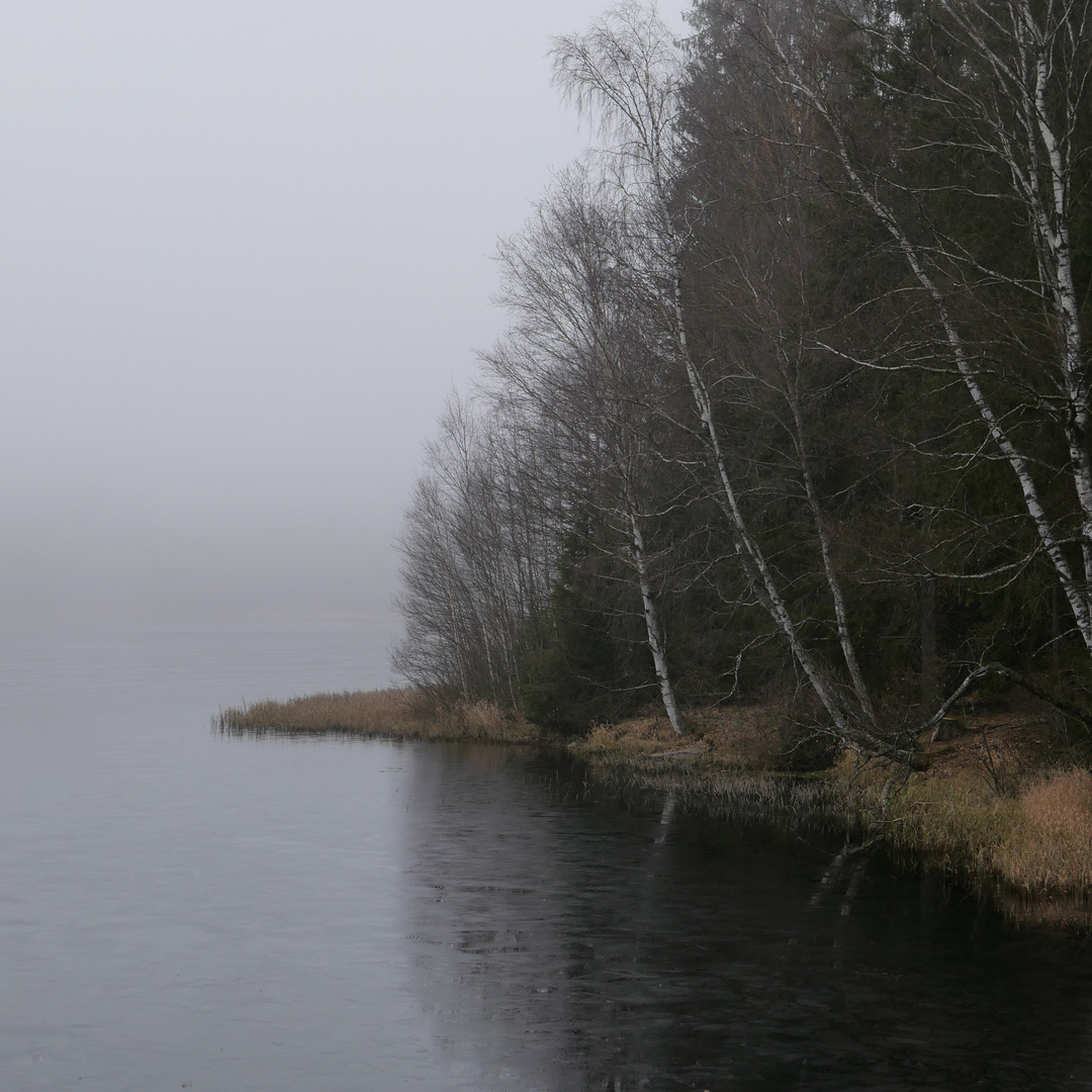 Novemberstille am Teich