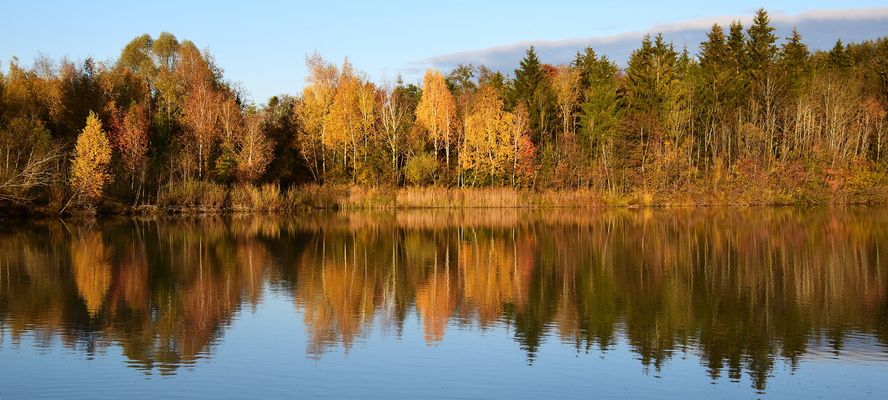 Novemberstimmung (4)