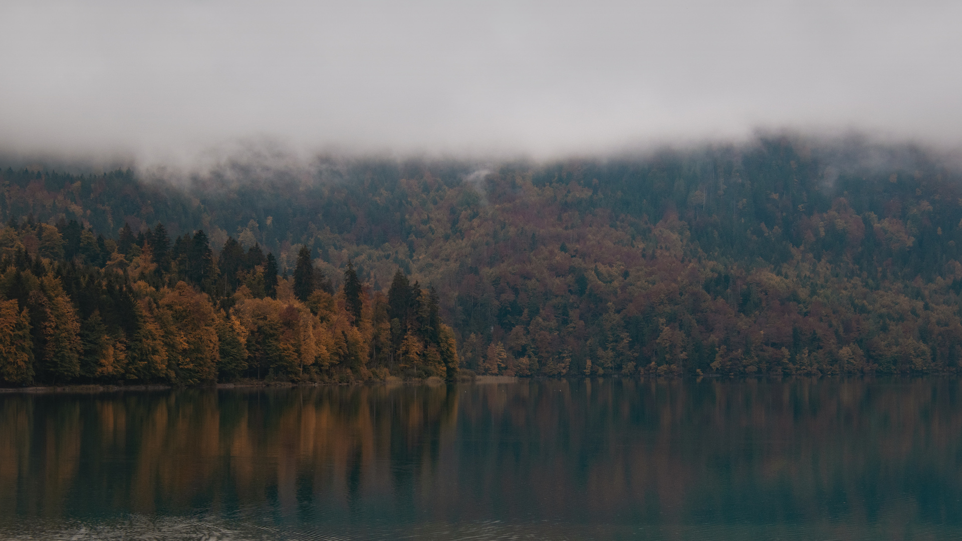 Novemberstimmung am Alpsee