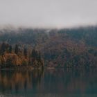 Novemberstimmung am Alpsee