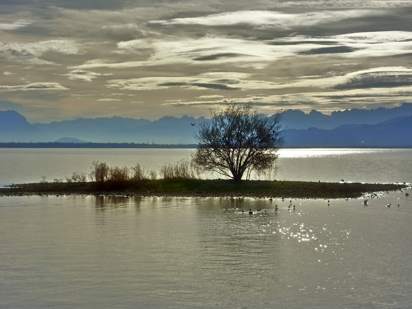 Novemberstimmung am Bodensee