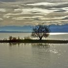 Novemberstimmung am Bodensee