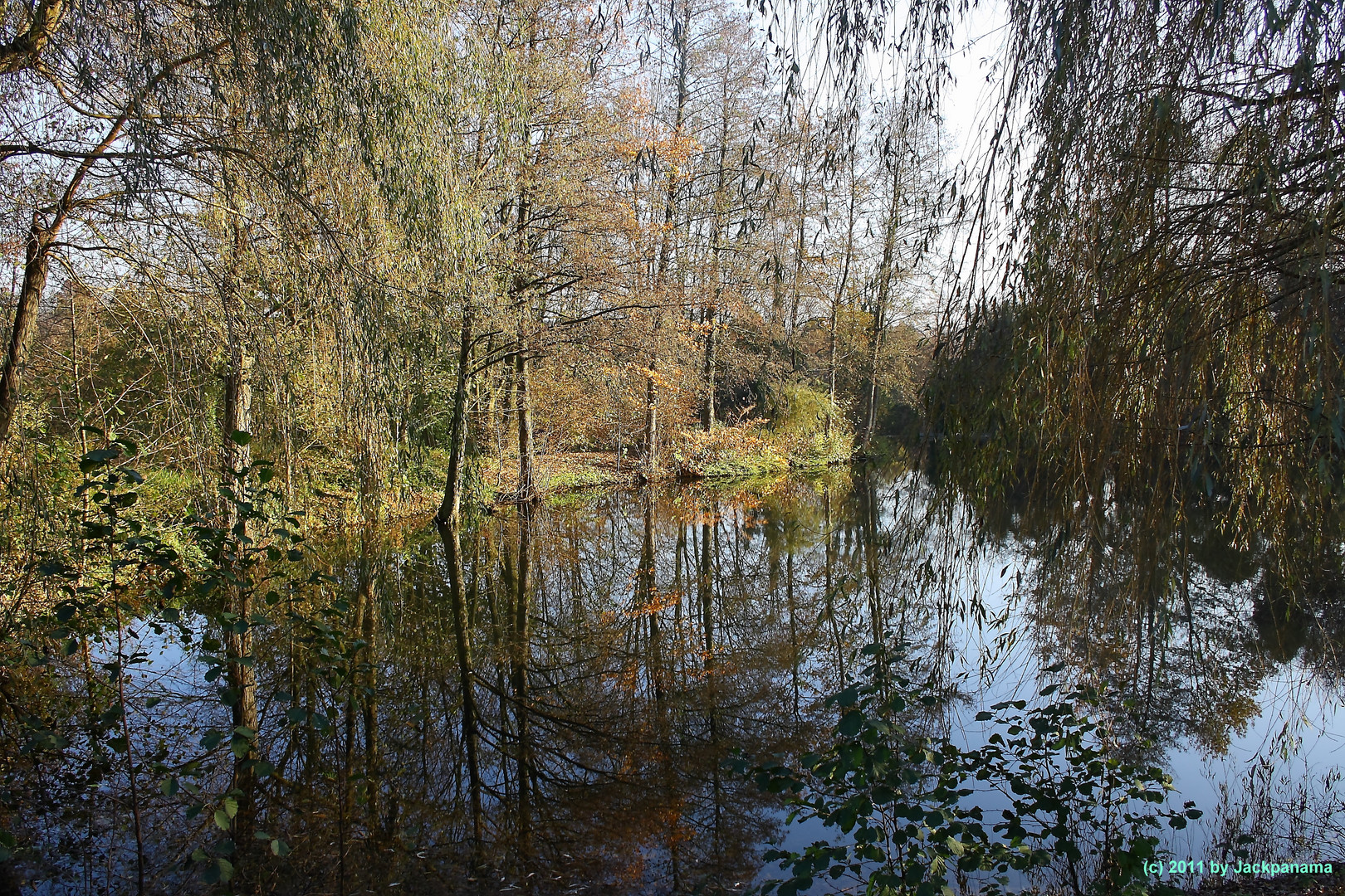 Novemberstimmung am Fischteich  -  St. Elisabeth-Hospital Herten