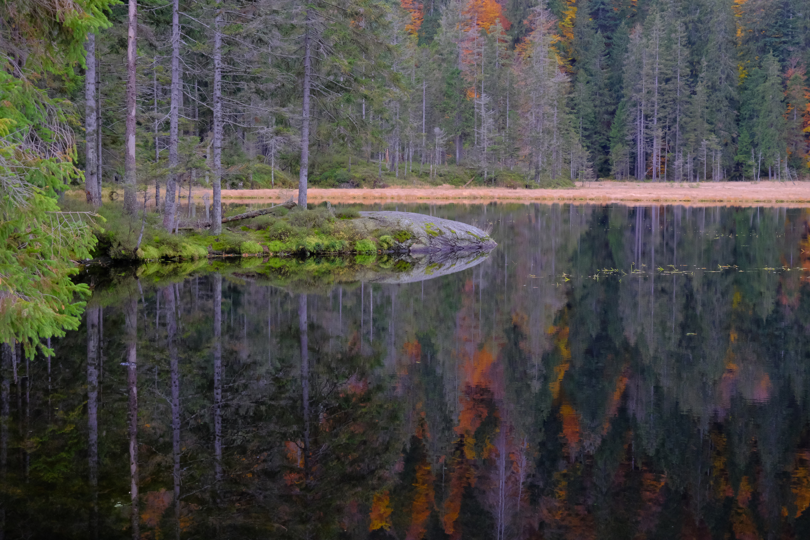 Novemberstimmung am Großen Arbersee