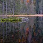 Novemberstimmung am Großen Arbersee