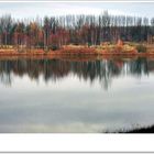 Novemberstimmung am Kiessee