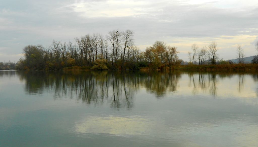 Novemberstimmung an der Aare