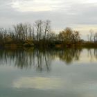 Novemberstimmung an der Aare