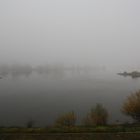 Novemberstimmung an der Elbe