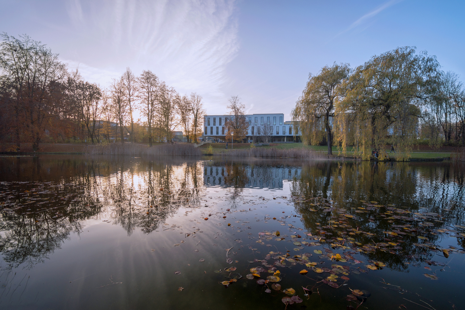 Novemberstimmung auf dem Campus-Teich der Uni Augsburg