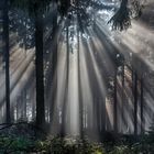 NOVEMBERSTIMMUNG auf dem Großen Feldberg im Taunus (2)