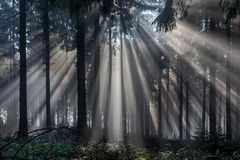 NOVEMBERSTIMMUNG auf dem Großen Feldberg im Taunus (2)