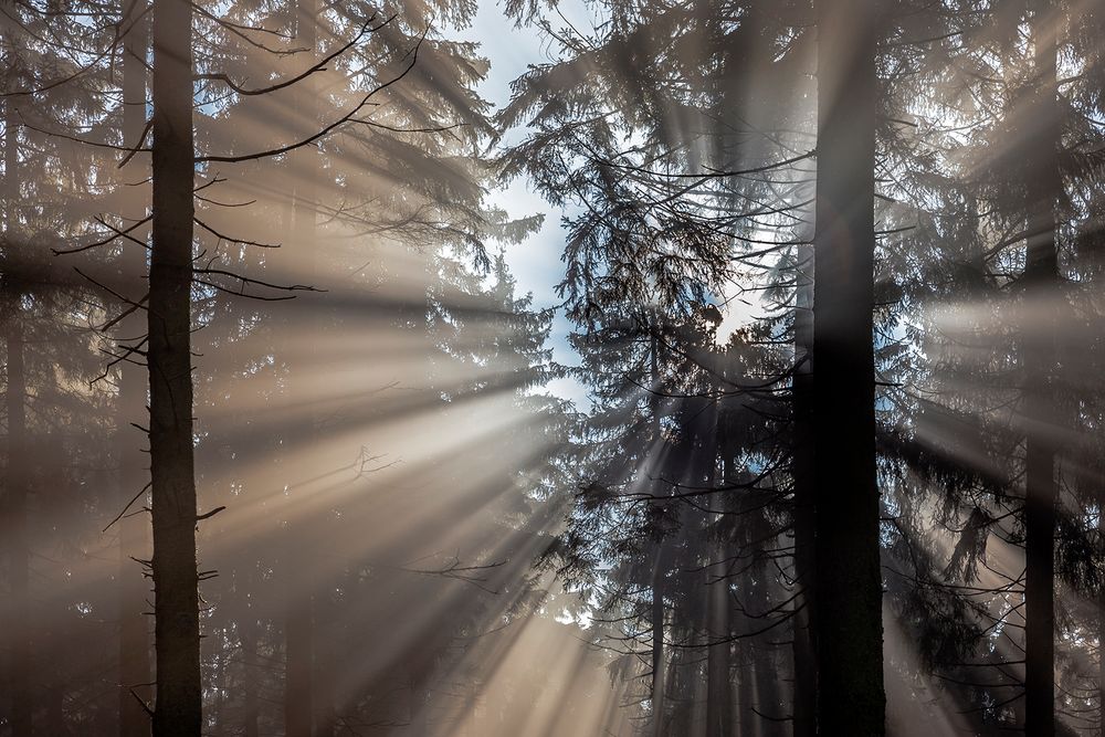 NOVEMBERSTIMMUNG auf dem Großen Feldberg im Taunus (3))