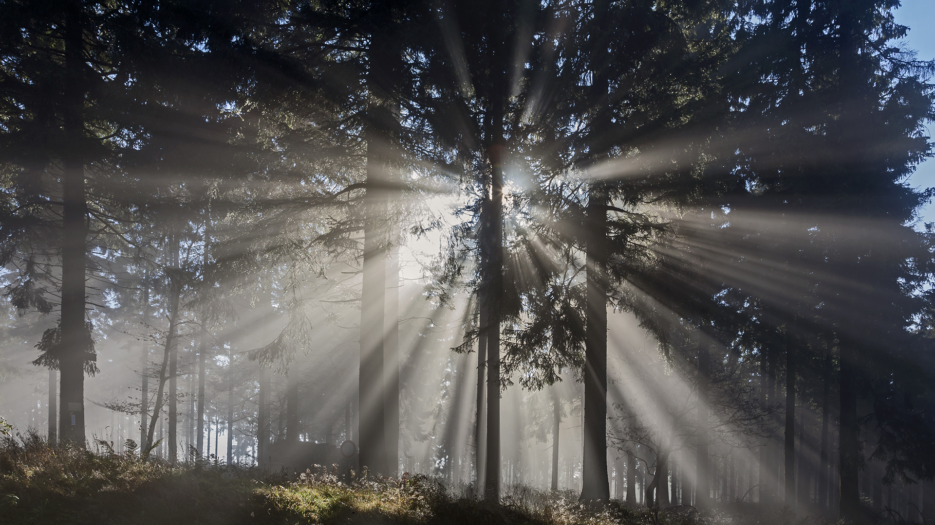 NOVEMBERSTIMMUNG auf dem Großen Feldberg im Taunus