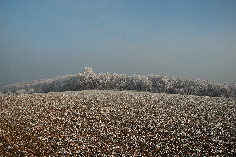 Novemberstimmung