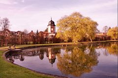 Novemberstimmung - Hofgarten Veitshöchheim