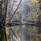 Novemberstimmung im Botanischen Garten