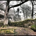 Novemberstimmung im Burggarten