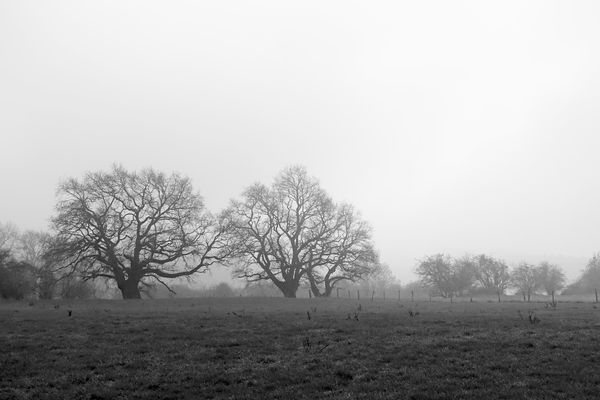 Novemberstimmung im Mergelland