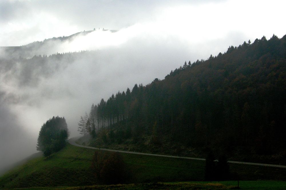 Novemberstimmung im Südschwarzwald