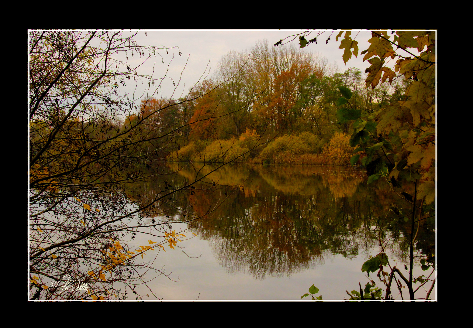 " Novemberstimmung "           (Spiegeltag 01.12.2020