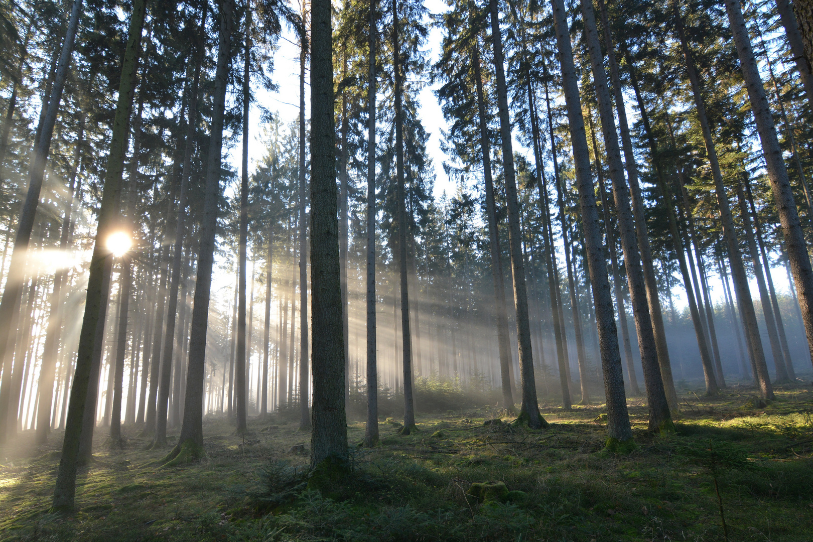 Novembertag