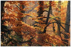 Novembertag
