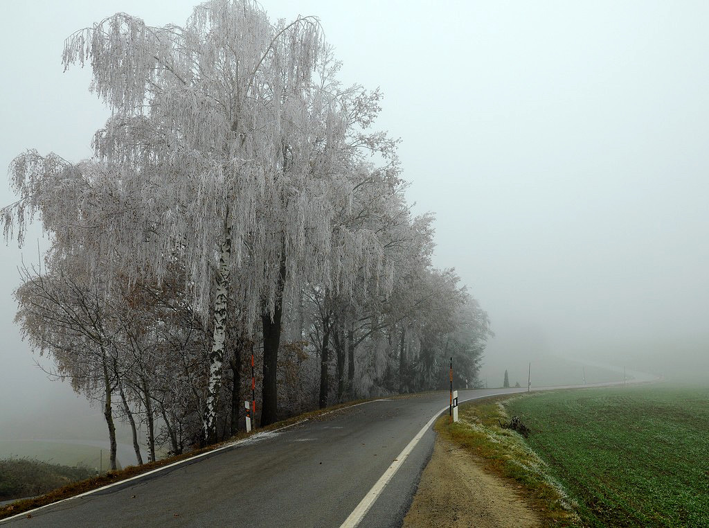 Novembertag