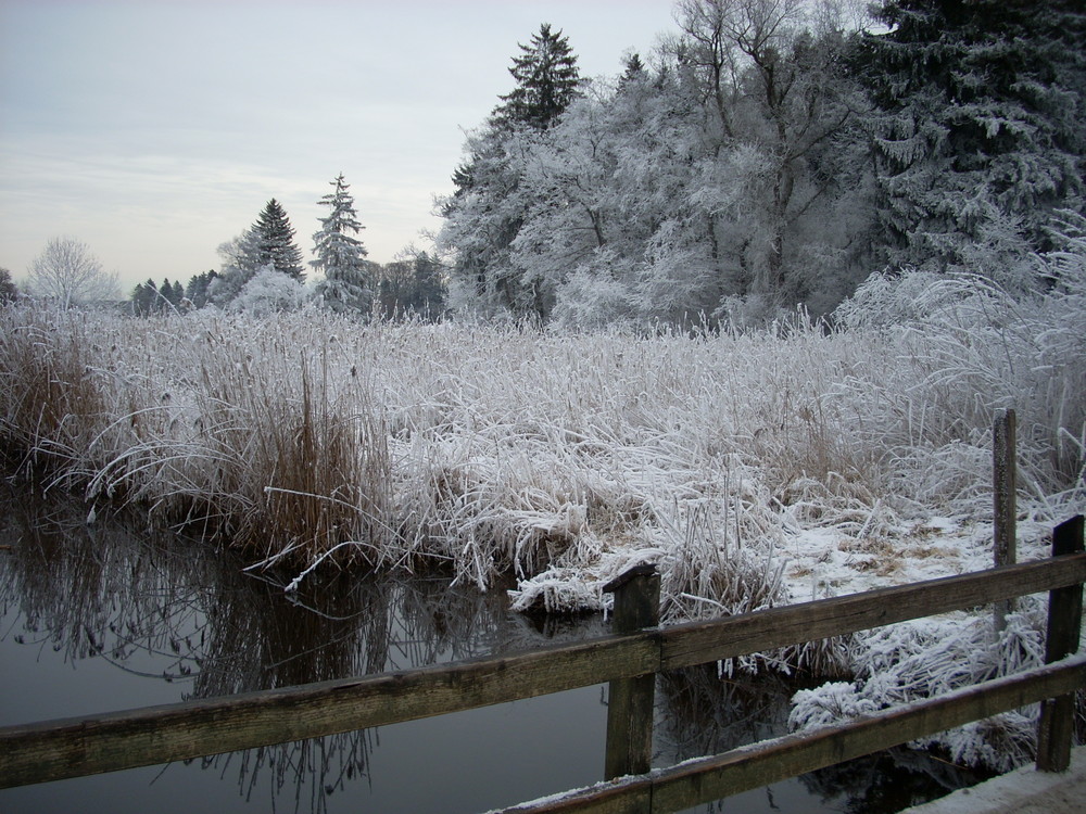 Novembertag