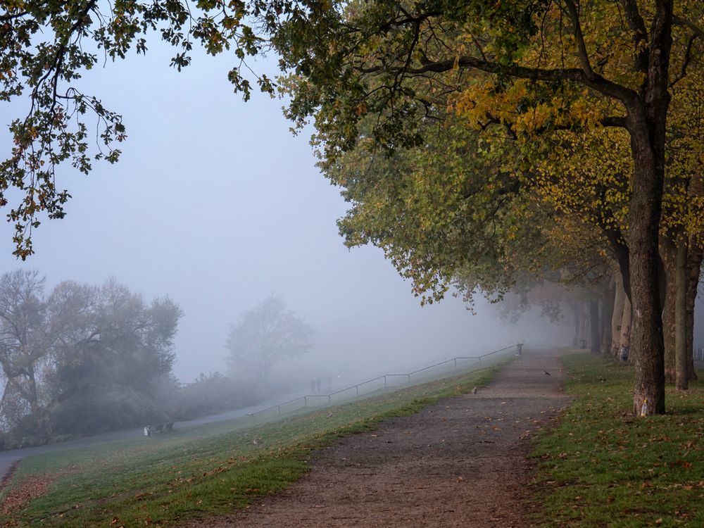 Novembertag