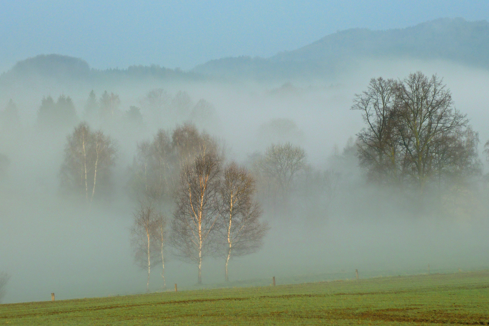 Novembertag