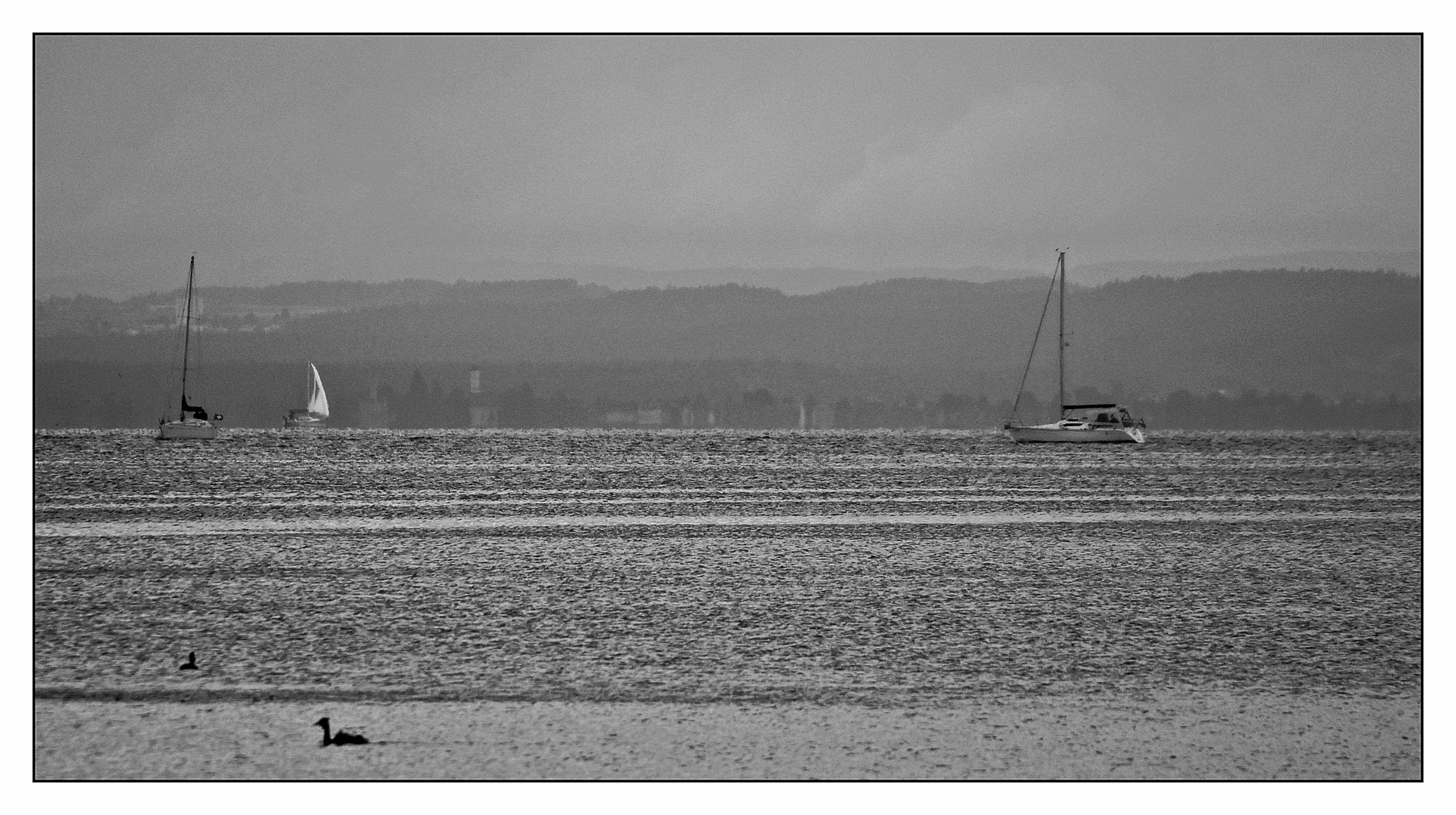 Novembertag am Bodensee