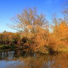 Novembertag am Fluß