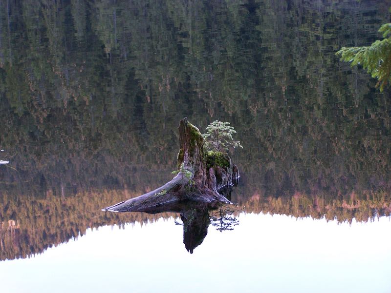 novembertag am großen arbersee