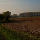 Novembertag am Niederrhein