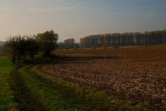 Novembertag am Niederrhein