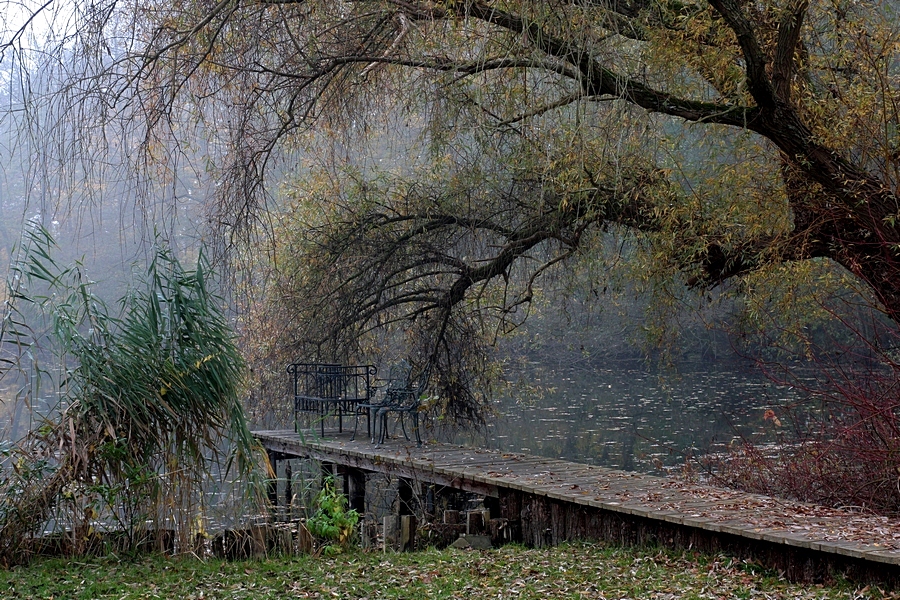 NOVEMBERTAG AM SEE