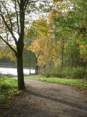 Novembertag am See